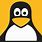 Linux Penguin Icon