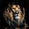 Lion 8K Wallpaper