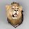 Lion Head Taxidermy