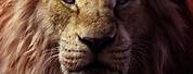 Lion King Movie Case