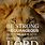 Lion Quotes Bible