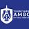 Logo of Ambo University