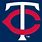 MLB Twins Logo