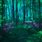 Magical Forest Desktop