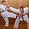 Martial Arts Oar Self-Defense
