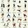 Martial Arts Types List