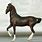 Marwari Horse Breyer