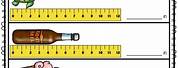 Measurement of Length Grade 2 Worksheets