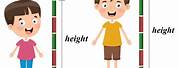 Measuring Height and Length
