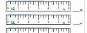 Measuring Inches Math Worksheet