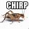 Meme Crickets Chirping Sound