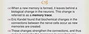Memory Trace Definition