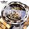 Men's Automatic Skeleton Watch