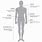 Men's Suit Measurement Form