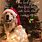 Merry Christmas Dog Sayings
