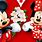 Mickey Mouse Minnie Love