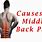 Midline Back Pain