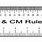 Millimeter Metric Ruler Actual Size