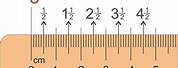 Millimeter and Centimeter Ruler