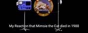 Mimsie The Cat Death