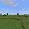 Minecraft Grass Biome