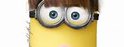 Minions Characters Girl