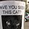 Missing Cat Poster Funny