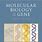 Molecular Biology of the Gene Book