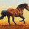 Mustang Horse Art