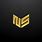 NS Logo 3D