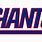 NY Giants Cool Logo