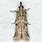Navel Orangeworm Moth