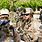Navy SEALs in Afghanistan