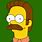Ned Flanders Face