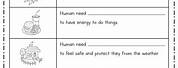 Needs of Human Body Worksheet