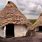 Neolithic Age Shelter