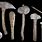 Neolithic Age Weapons