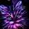 Neon Cat Image