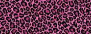 Neon Pink Cheetah Print