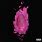 Nicki Minaj Pink Print Album