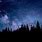 Night Sky Stars Forest
