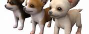 Nintendogs All Breeds