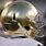 Notre Dame Gold Helmets