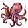Octopus Art Designs