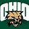 Ohio University Football Logo