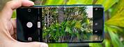 OnePlus 8 Pro Camera Samples