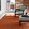 Orange Living Room Rugs