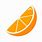 Orange Slice Logo