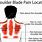 Pain Shoulder Blade Area