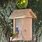 Painted Bunting Bird House